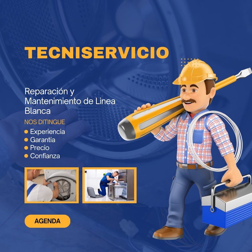 Tecniservicio en queretaro