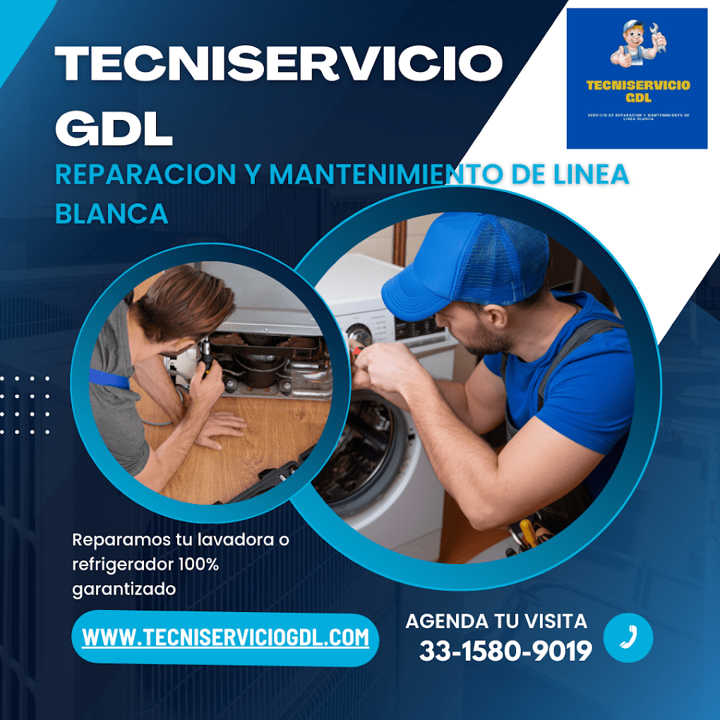 tecniservicio en guadalajara