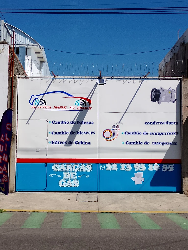 autoclimas flores en puebla