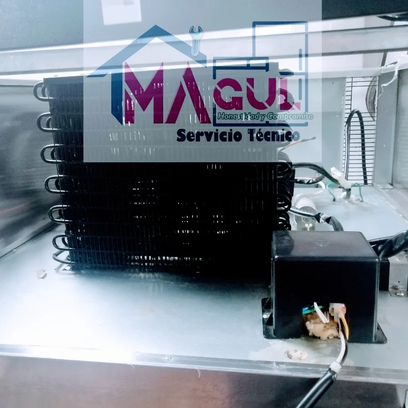 servicios magul en puebla