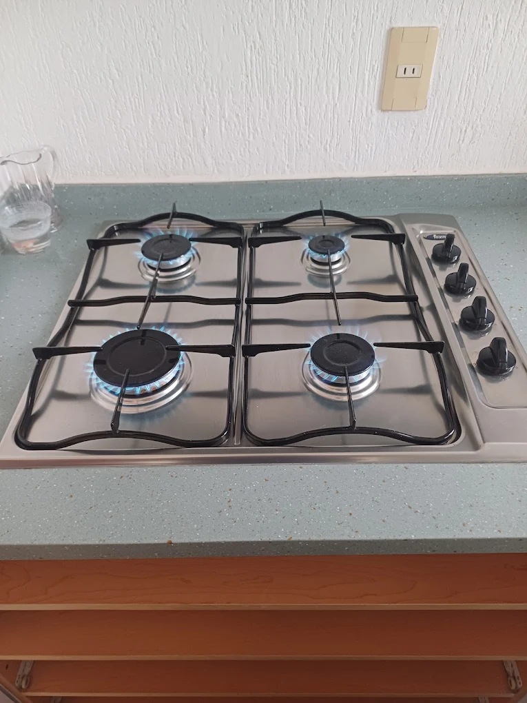 tecnigas en guadalajara